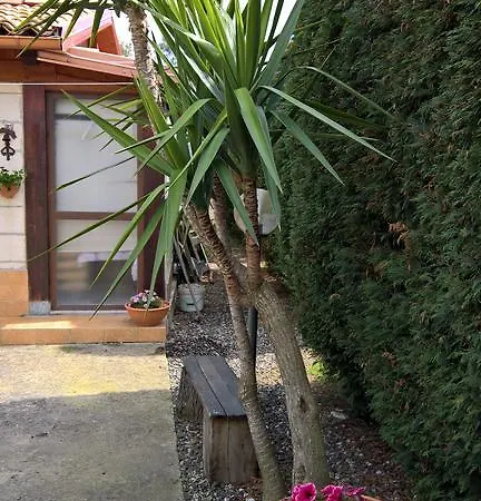 Casa Vacanza Sesto * Maida